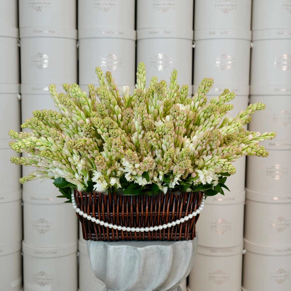 Tuberose Elegance Arrangement