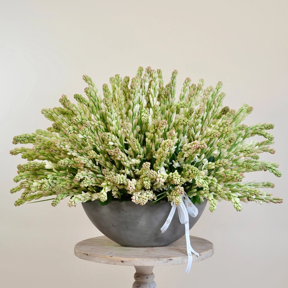 Tuberose Elegance Arrangement
