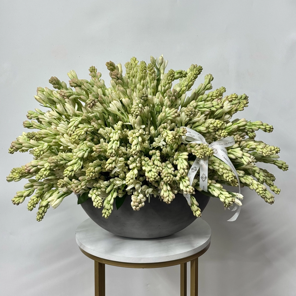Tuberose Elegance Arrangement