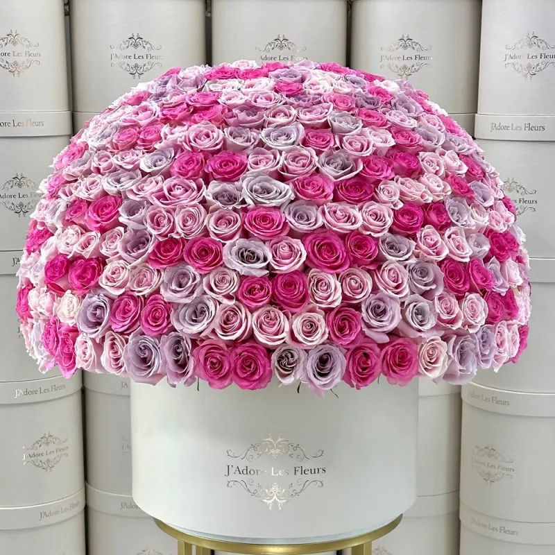 Jadore 300 Shades of Pink Roses in Grandiose Box