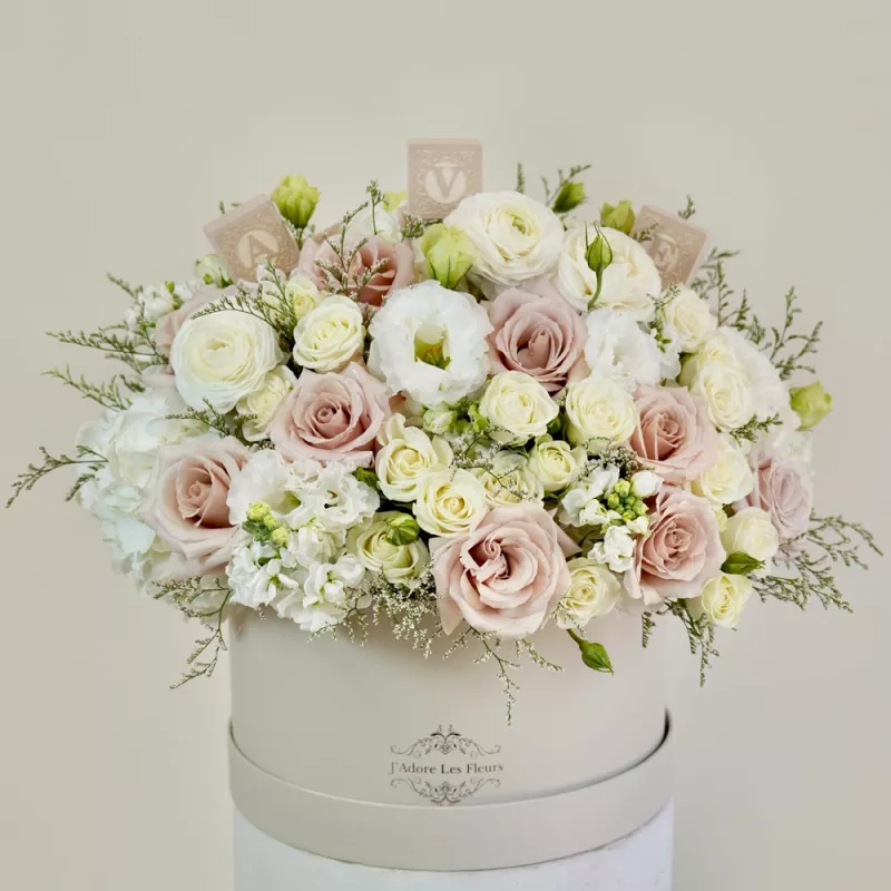 Jadore Little Dreamer