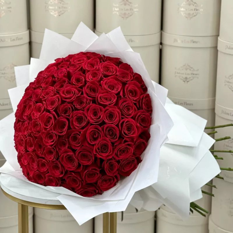 Jadore 100 Reasons Why