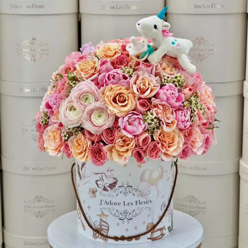 Jadore Welcome to the World