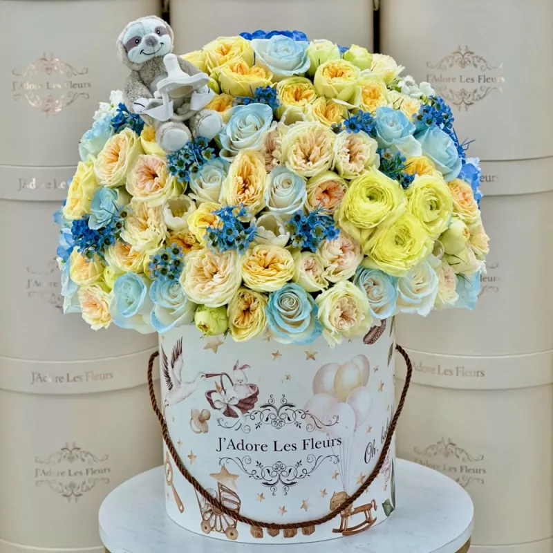 Jadore Sleeping Under the Stars