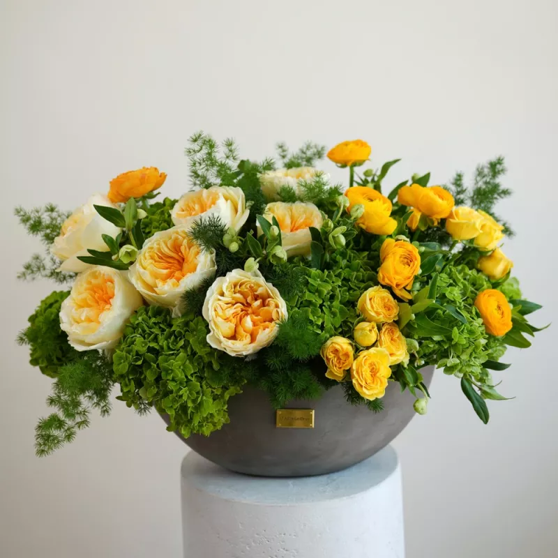 Jadore Sunburst Royale