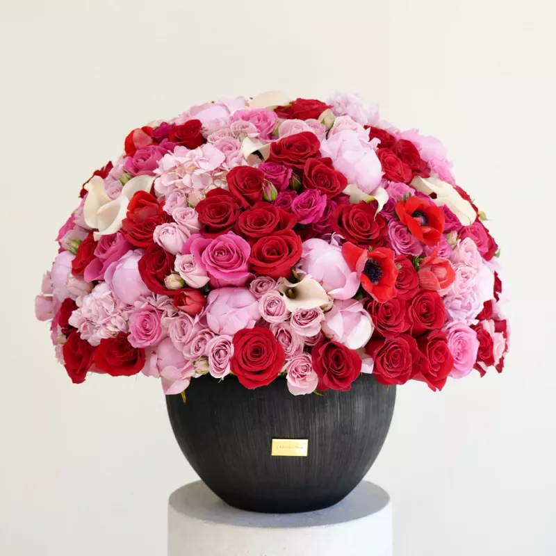 Jadore Crowned in Love