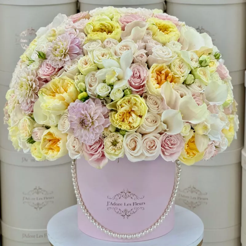 Jadore Pastel Elegance