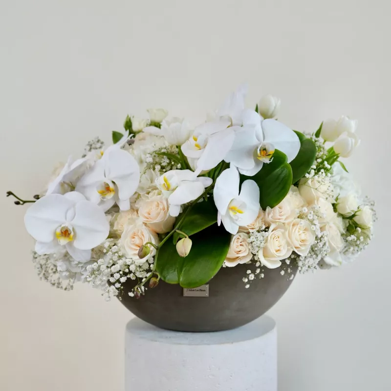 Jadore On the Clouds