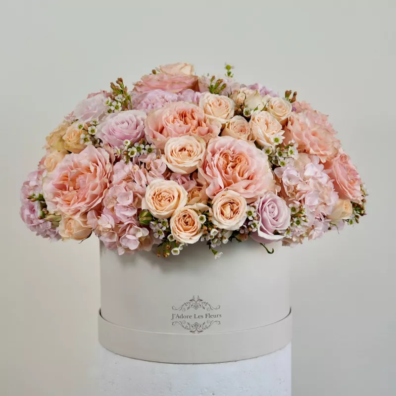 Jadore Peach and Champagne