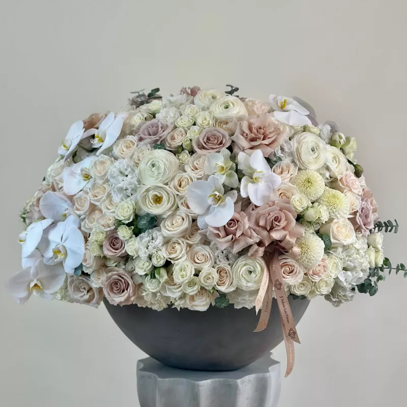 Jadore Grand Champagne Crown