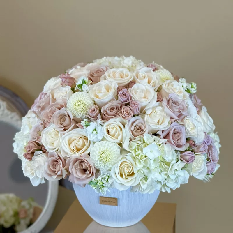 Jadore Velour Blooms