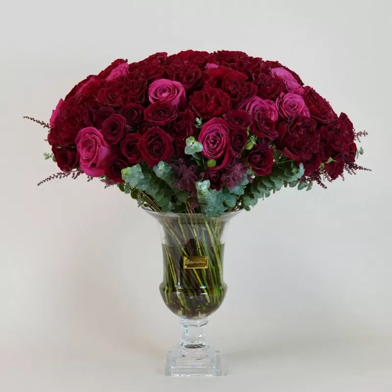 Jadore Crimson Majesty