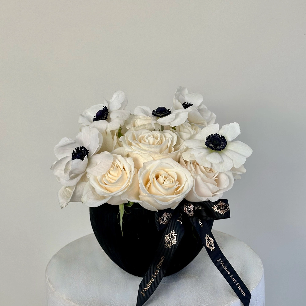Midnight & Ivory