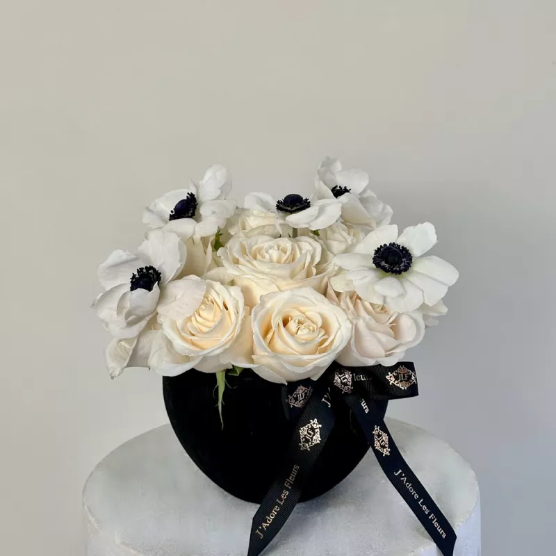 Jadore Midnight & Ivory