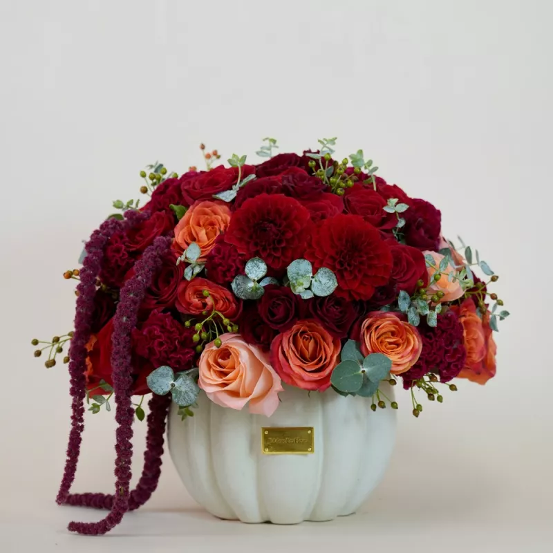 Jadore Maple & Merlot