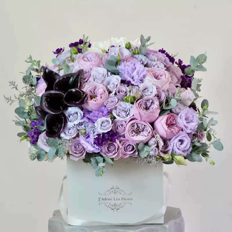 Jadore Eclipse Blooms