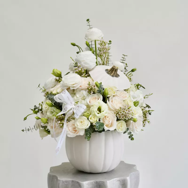 Jadore White-full Bliss Pumpkin