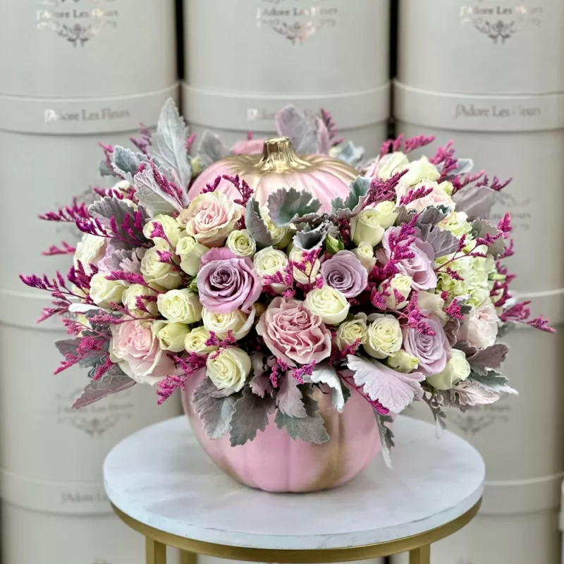 Jadore Pretty Pumpkin