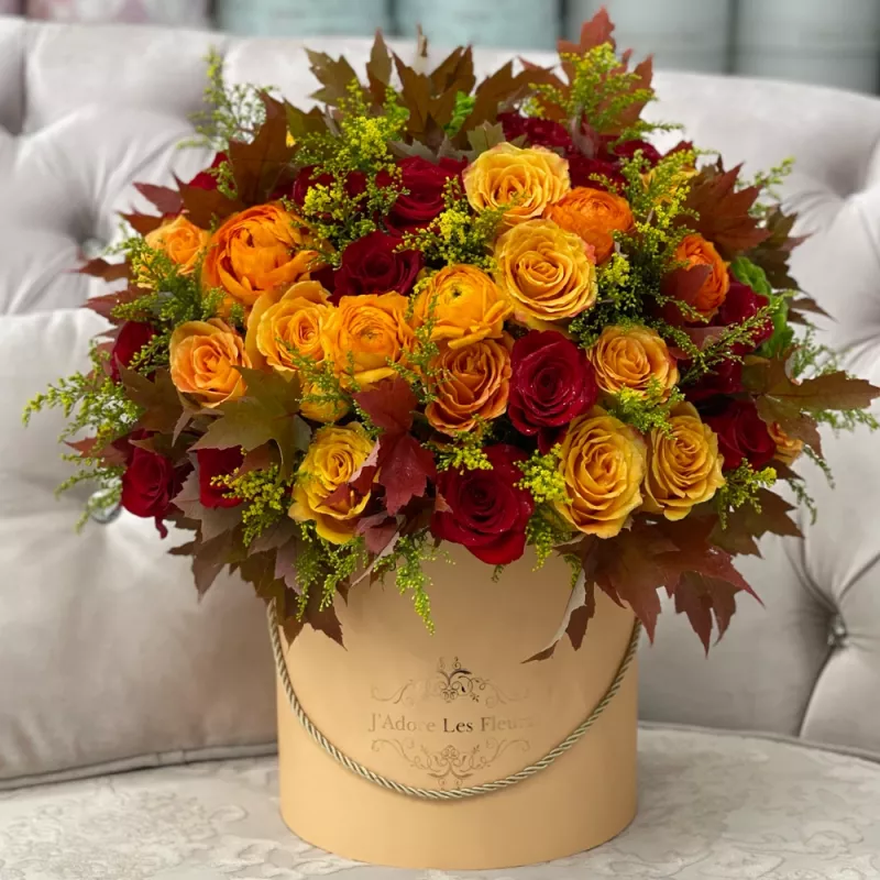 Jadore Sunset Autumns