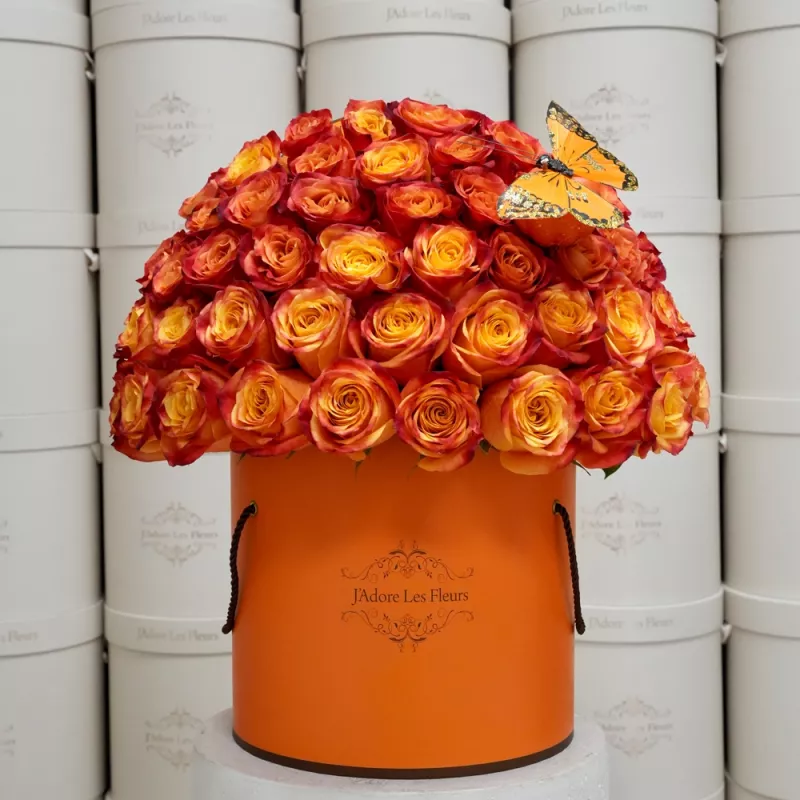 Jadore Autumn Butterfly