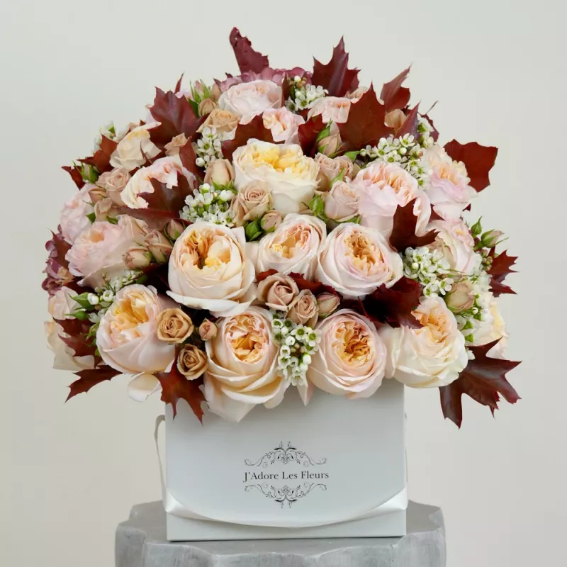 Jadore November Glow