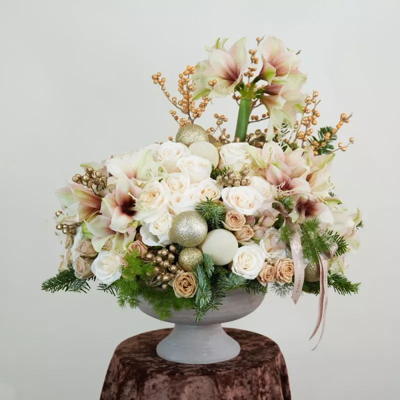 Jadore Amaryllis Fantasy