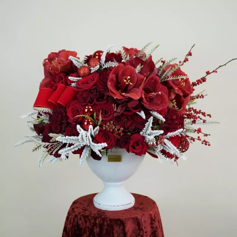 Jadore Winter in Ruby