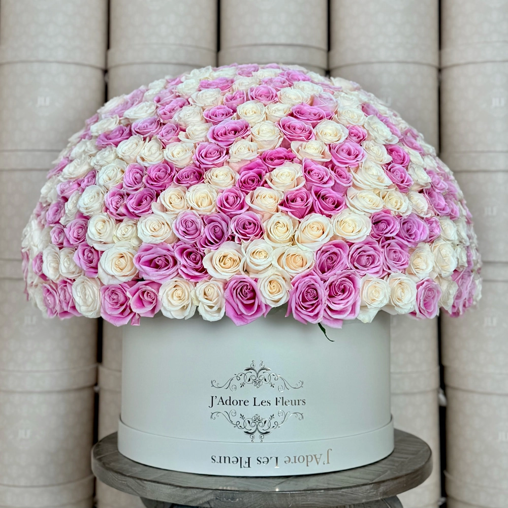 The 500 Rose Grandiose in Pink and White