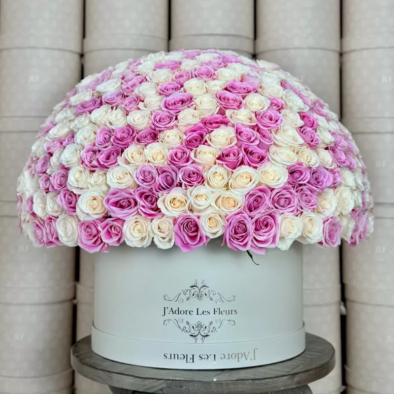 Jadore The 500 Rose Grandiose in Pink and White