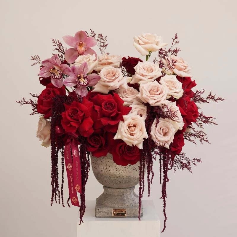 Jadore Midnight in Paris