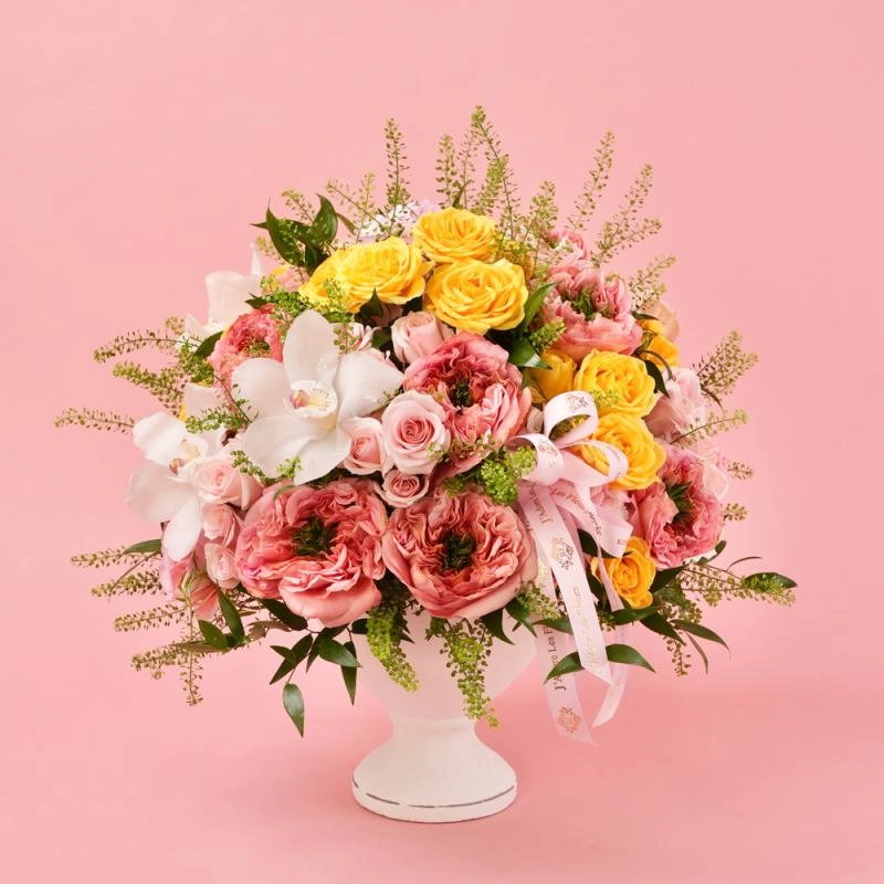 Jadore Morning Blossom