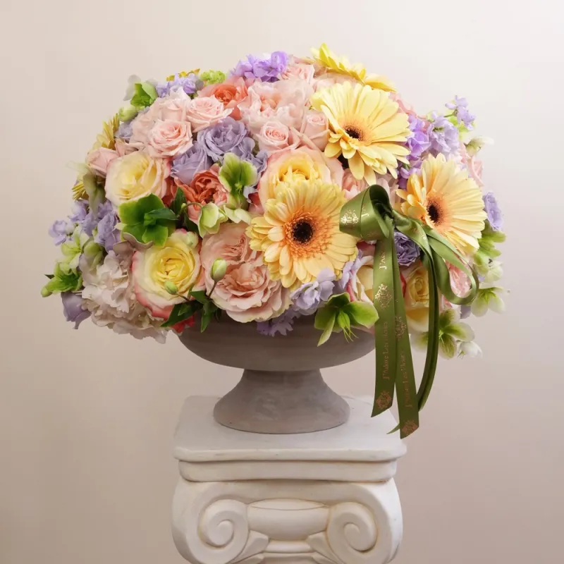 Jadore Crowned in Spring