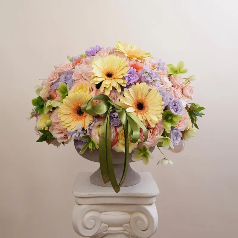 Jadore Crowned in Spring