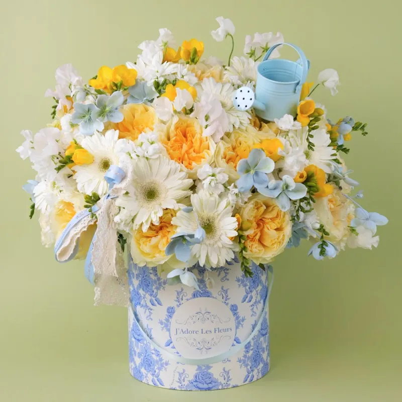 Jadore The Spring Porcelain