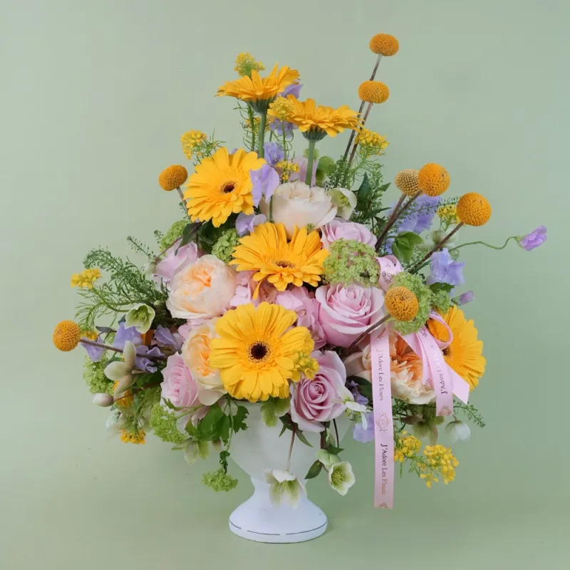 Jadore Morning in Bloom