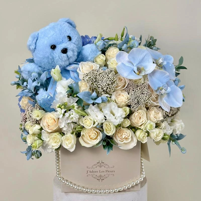 Jadore Welcome Baby Bear