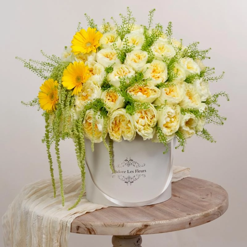 Jadore Sunshine for Mama