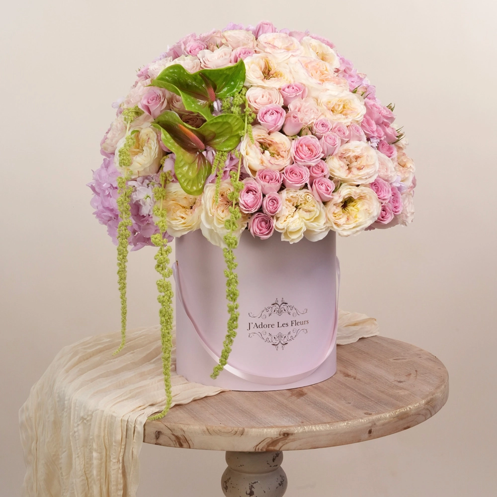 The Beauty She Gives