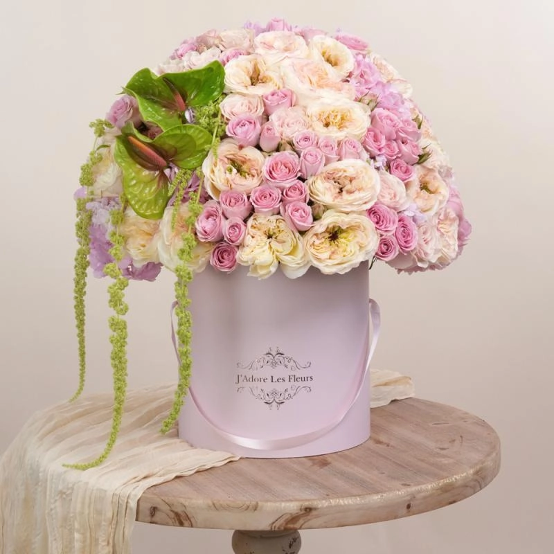 Jadore The Beauty She Gives