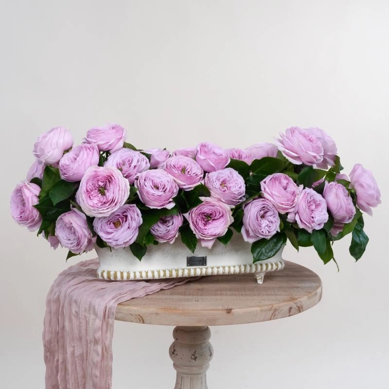 Jadore Vintage in Lavender