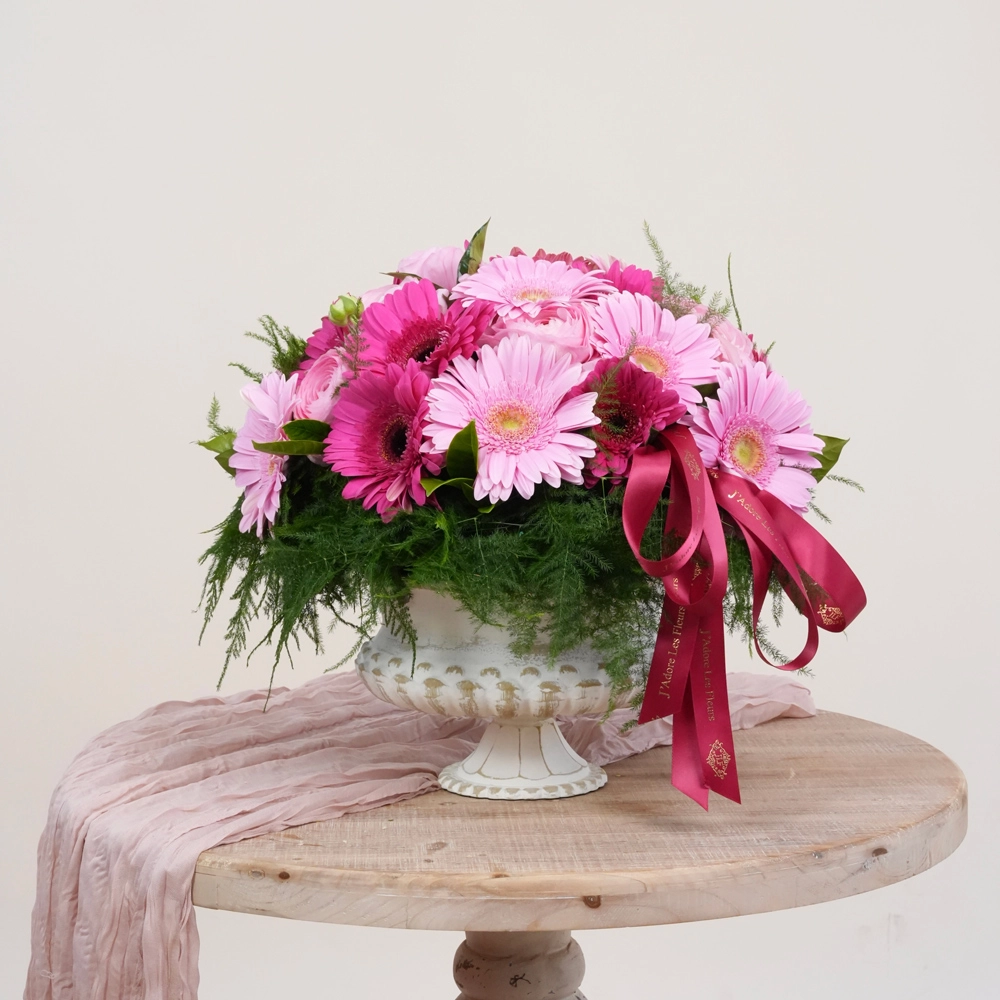Jardin de Gerbera Daisies