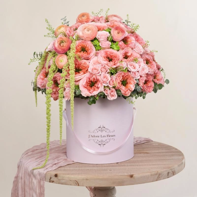 Jadore Soft Coral Dream