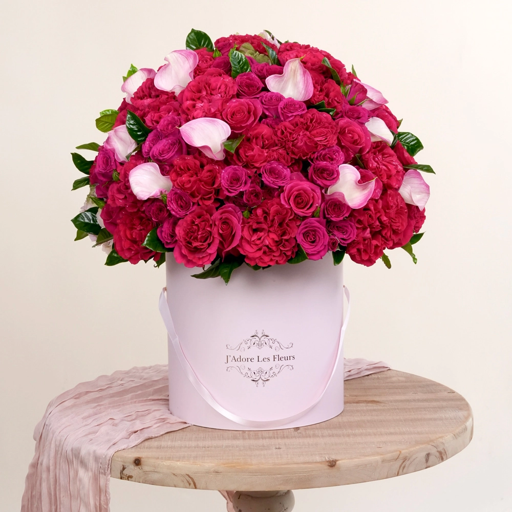 Softness With Fuchsia