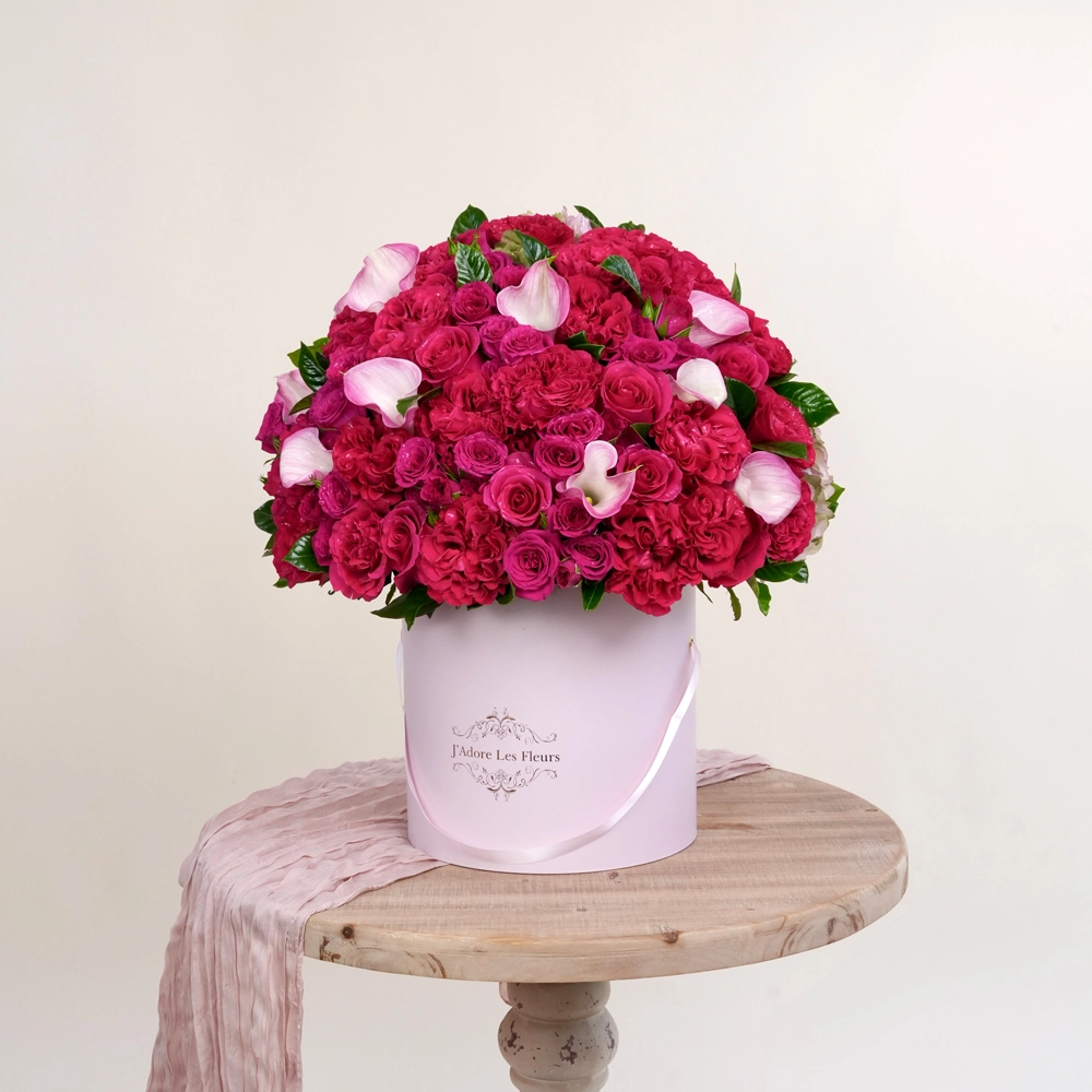 Softness With Fuchsia