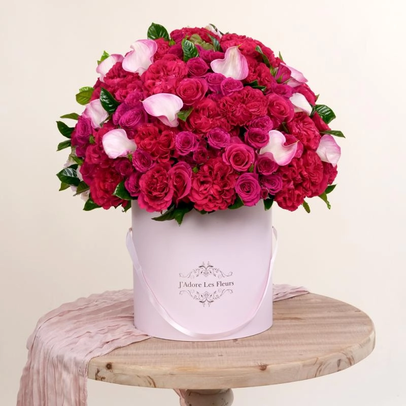 Jadore Softness With Fuchsia