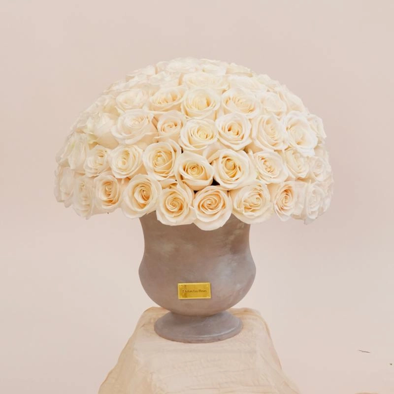 Jadore The Classic Mom