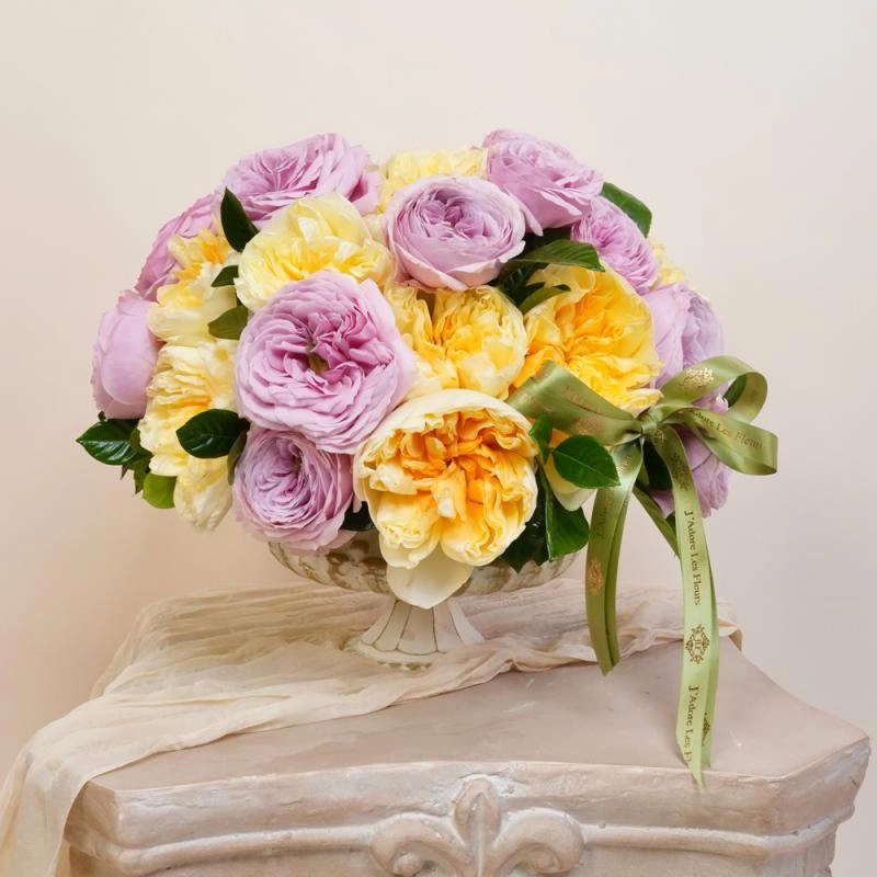 Jadore Soft Daydream