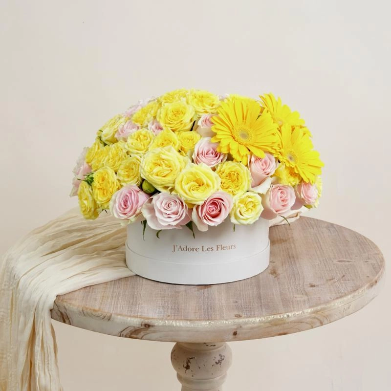 Jadore Soft Sunshine