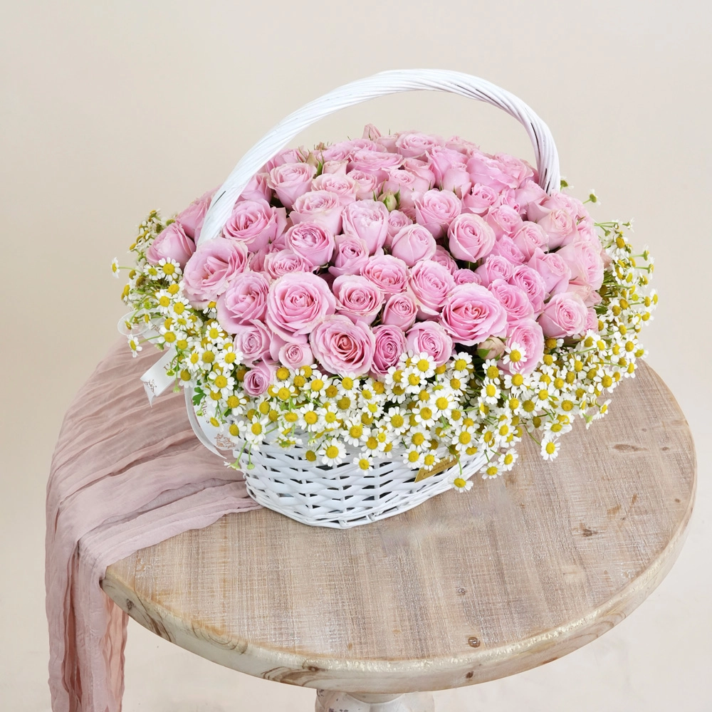 Roses & Chamomile Garden