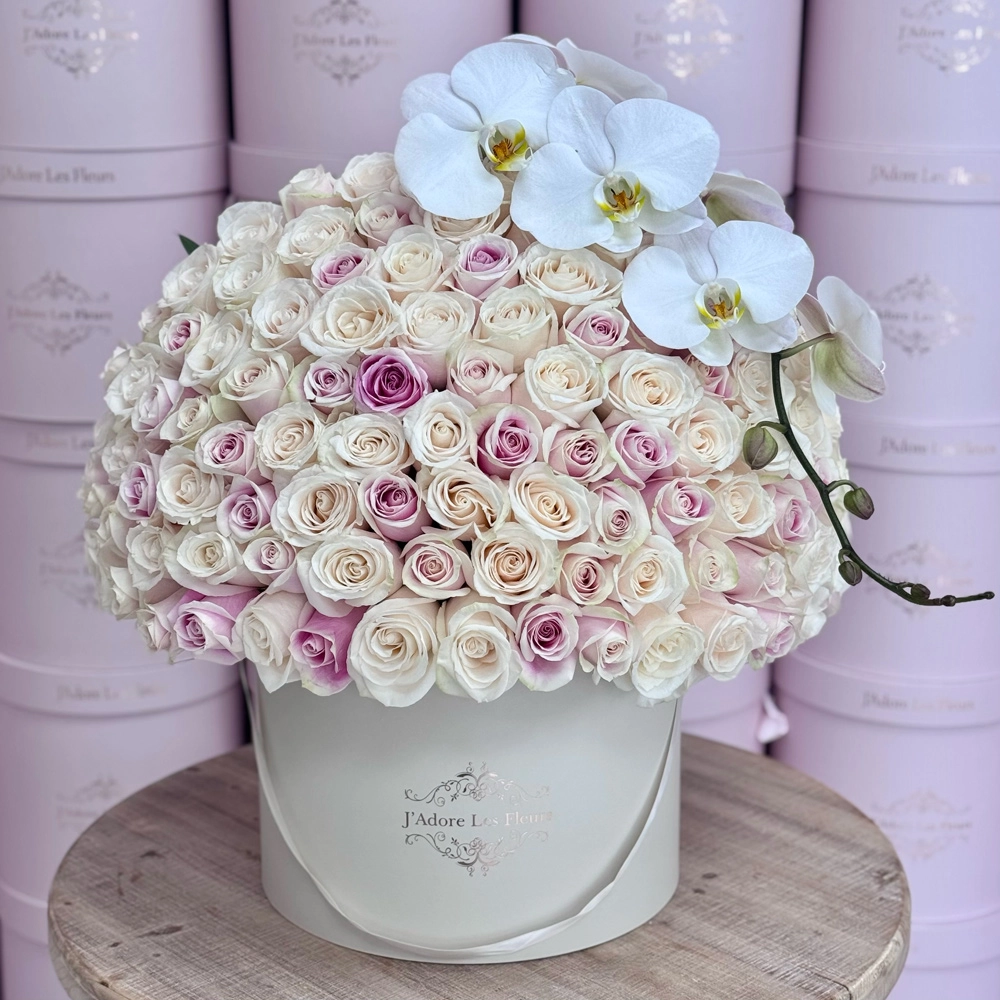 Rosita and Ivory Signature